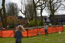 Koningsdag 2016 (3)