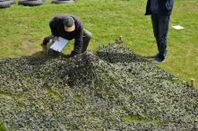 Koningsdag 2016 (4)