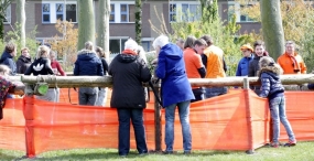 Koningsdag 2016 (5)