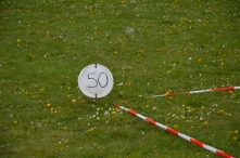 Koningsdag 2016 (3)