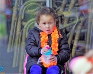 Koningsdag 2017