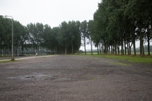Lowlands 2021