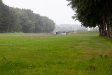 Lowlands 2021