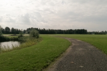 Lowlands 2021