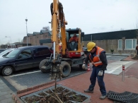 Bomen aanplanten MFG