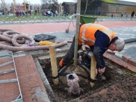 Bomen aanplanten MFG