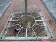 Bomen aanplanten MFG