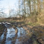Bremerbergbos