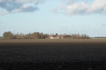 Bremerbergbos