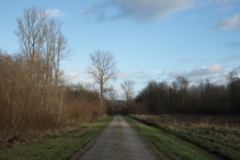 Bremerbergbos