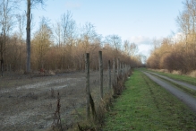 Bremerbergbos