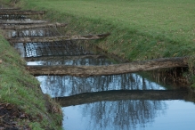 Bremerbergbos
