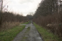 Bremerbergbos
