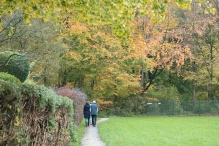 Dorpsbos Biddinghuizen in herfstkleuren 2/2