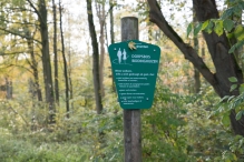 Dorpsbos Biddinghuizen in herfstkleuren 1/2