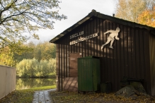 Dorpsbos Biddinghuizen in herfstkleuren 1/2
