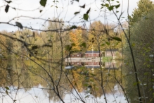 Dorpsbos Biddinghuizen in herfstkleuren 1/2