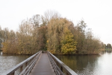 Dorpsbos Biddinghuizen in herfstkleuren 2/2