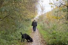 Dorpsbos Biddinghuizen in herfstkleuren 2/2