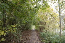 Dorpsbos Biddinghuizen in herfstkleuren 2/2
