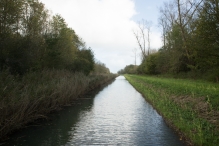 Herfst in het Harderbos