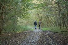 Herfst in het Harderbos