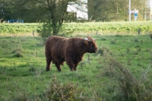 Herfst in het Harderbos