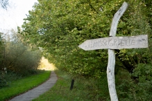 Herfst in het Harderbos