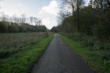 Herfst in het Harderbos