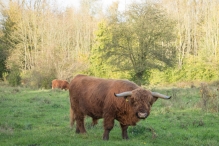 Herfst in het Harderbos