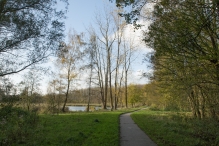 Herfst in het Harderbos