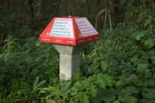 Herfst in het Harderbos