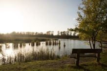 Herfst in het Harderbos