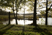 Herfst in het Harderbos