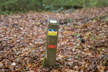 Herfst in het Harderbos