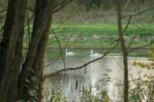 Herfst in het Harderbos