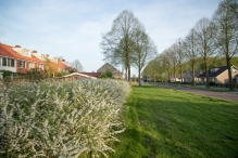 Voorjaar - Biddingbos