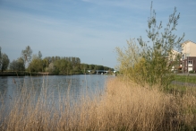 Voorjaar - Biddingbos