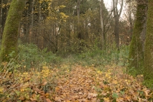 Zonnige 18 november