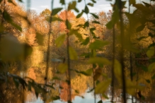 Zonnige 18 november