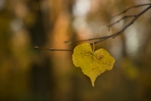Zonnige 18 november