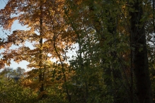 Zonnige 18 november