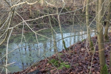 Zonnige Eerste Kerstdag