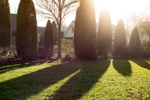 Zonnige Eerste Kerstdag