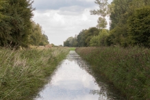 Harderbos tussen zomer en herfst