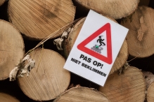 Harderbos tussen zomer en herfst