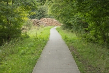 Harderbos tussen zomer en herfst