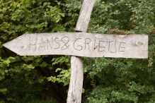 Harderbos tussen zomer en herfst