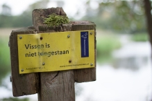 Harderbos tussen zomer en herfst