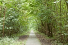 Harderbos tussen zomer en herfst